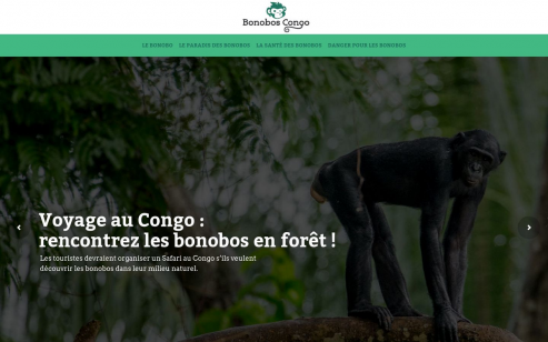 https://www.bonoboscongo.net